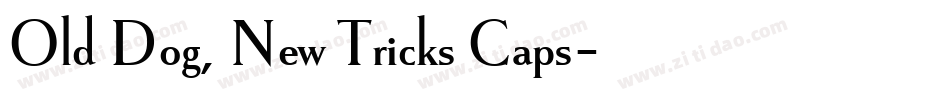 Old Dog, New Tricks Caps字体转换